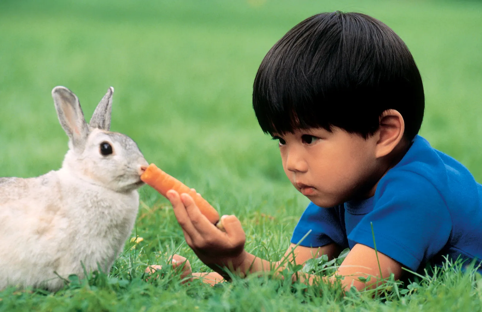 Kids Can Play with Rabbits